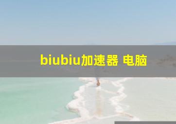 biubiu加速器 电脑